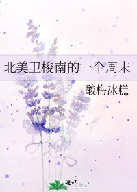 《北美衞梭南的一個週末》