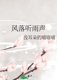 《風落聽雨聲》