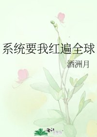 系统要我红遍全球