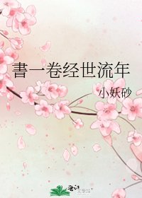 書一卷经世流年