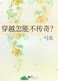 穿越怎能不传奇？