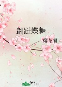 《翩跹蝶舞》