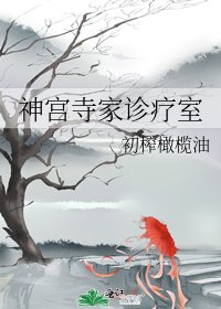 神宫寺家诊疗室