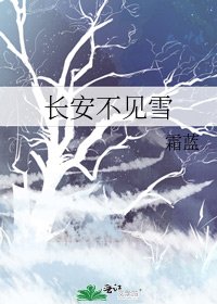 《长安不见雪》