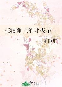 43度角上的北极星