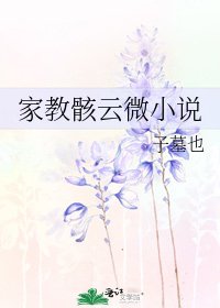 《家教骸雲微》