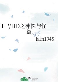 HP/HD之神探與怪盜