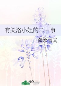 《有關洛小姐的二三事》