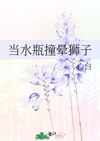 当水瓶撞晕狮子