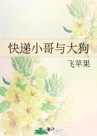 茅递小鸽与大初