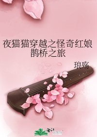 夜猫猫穿越之怪奇红娘鹊桥之旅