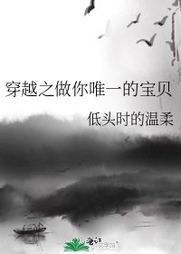 穿越之做你唯一的宝贝