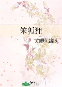 笨狐狸