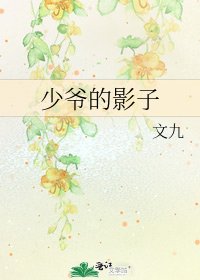 《少爷的影子》