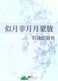 《似月非月月蒙朧》