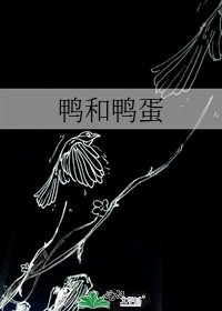 《鸭和鸭蛋》