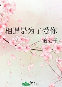 《相遇是为了皑你》