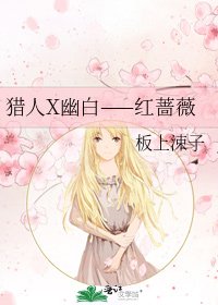 猎人X幽白——红蔷薇