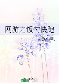 《网游之饭勺快跑》