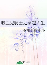《吸血鬼騎士之穿越人生》