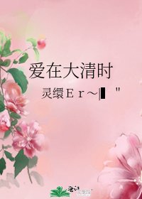 《爱在大清时》