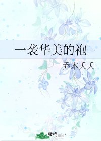 《一袭华美的袍》