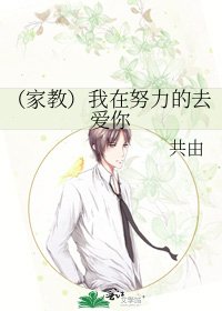 《(家教)我在努力的去爱你》