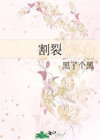 《割裂》