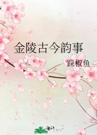 《金陵古今韻事》