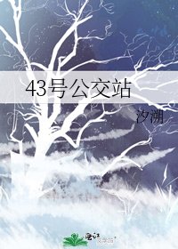 43号公交站