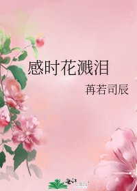 感时花溅泪