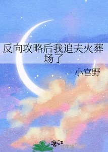 反向攻略后我追夫火葬场了