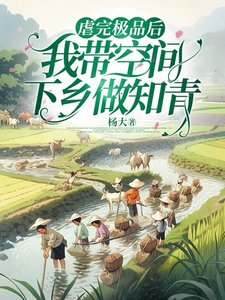 《虐完極品後,我帶空間下鄉做知青》
