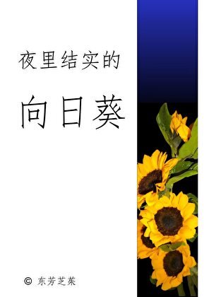 夜里结实的向应葵