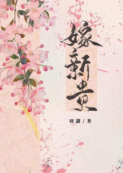 《嫁新贵》