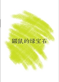 鼹鼠的履骗石