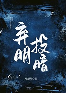 弃明投暗