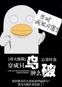《(BL/功夫熊猫同人)穿成只鸟肿么破》