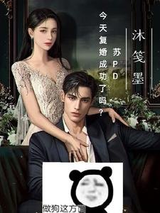 苏PD今天复婚成功了吗?