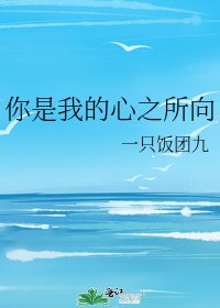 《你是我的心之所向》