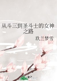 从斗三到圣斗士的女神之路