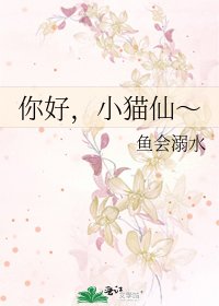 《你好,小貓仙~》