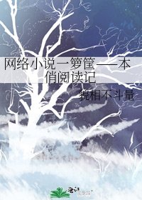 《网络一箩筐——本俏记》