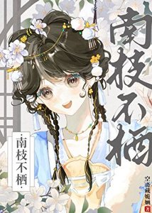 南枝不栖