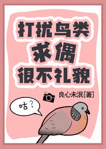 打擾鳥類求偶很不禮貌!