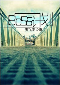 （綜漫同人）BOSS計劃