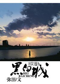 《(综漫同人)黑白城》