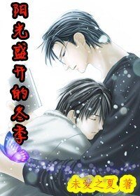 《阳光盛开的冬季》